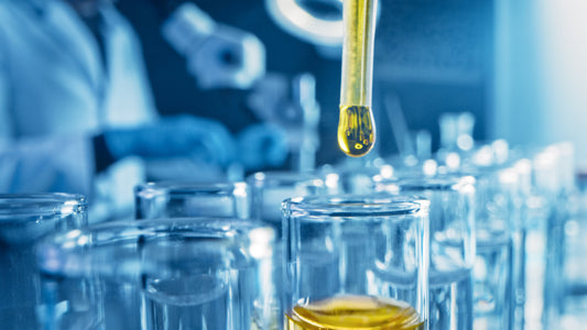The Environmental Impact of CBD Production