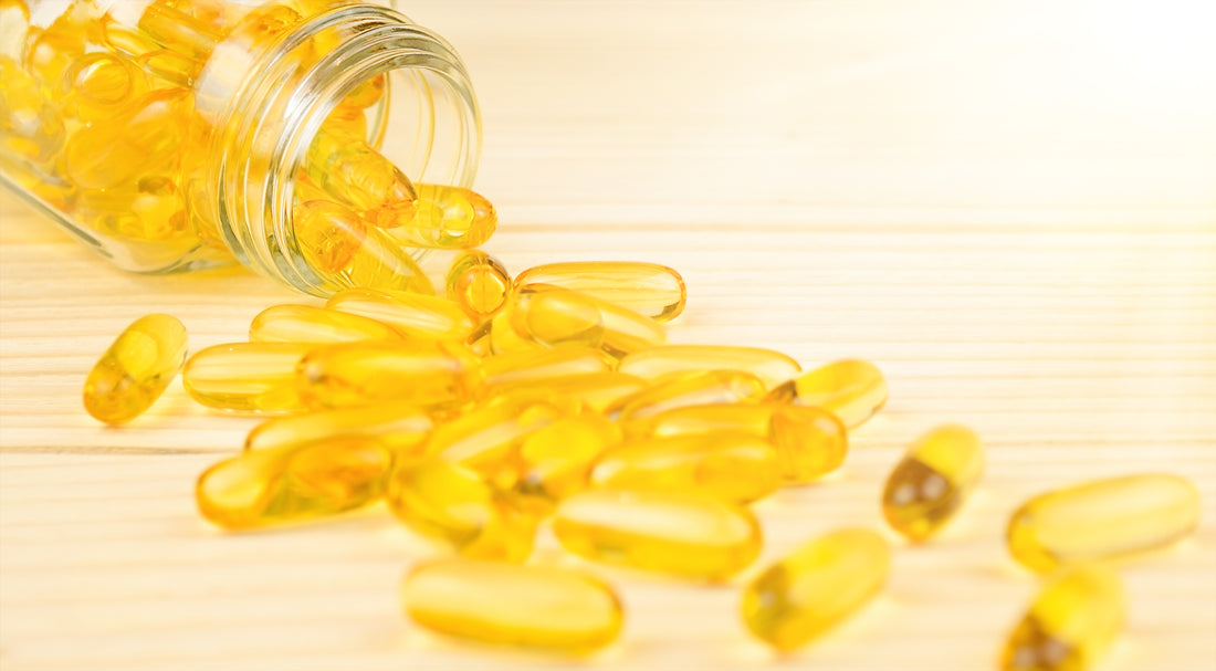 CBD Ingredients Explained: What's Really Inside Your Product?