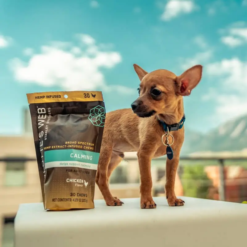 Calming Chews for Dogs
